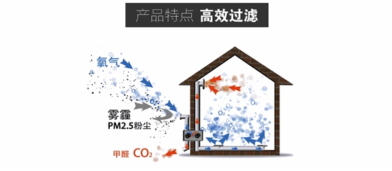 有效去除甲醛等有害物質(zhì)